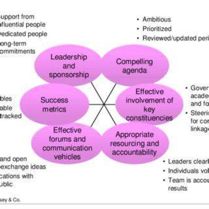 Key principles for effective civic development organization Download